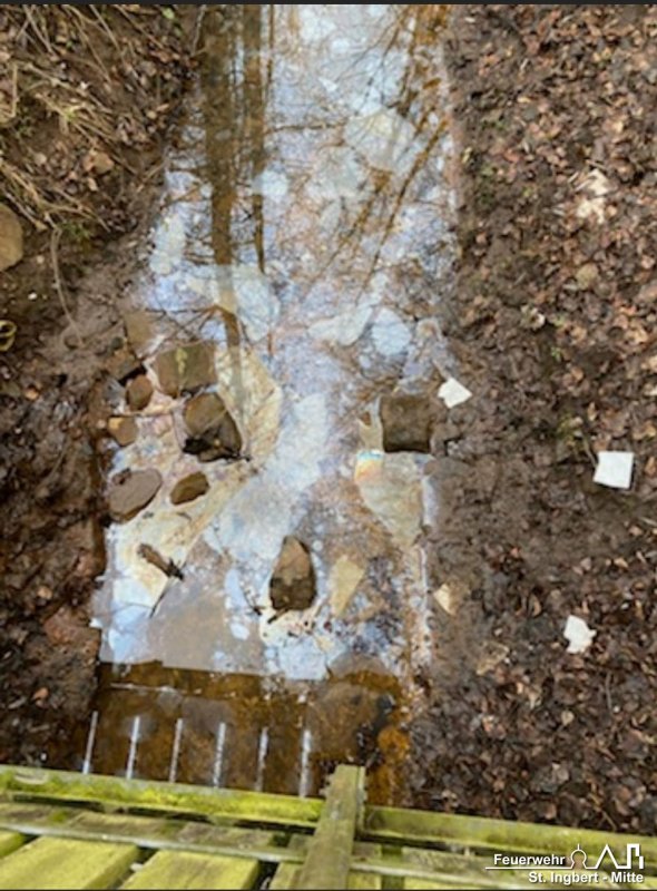 Schadstoff auf Gewässer, In den Königswiesen (Rohrbach)