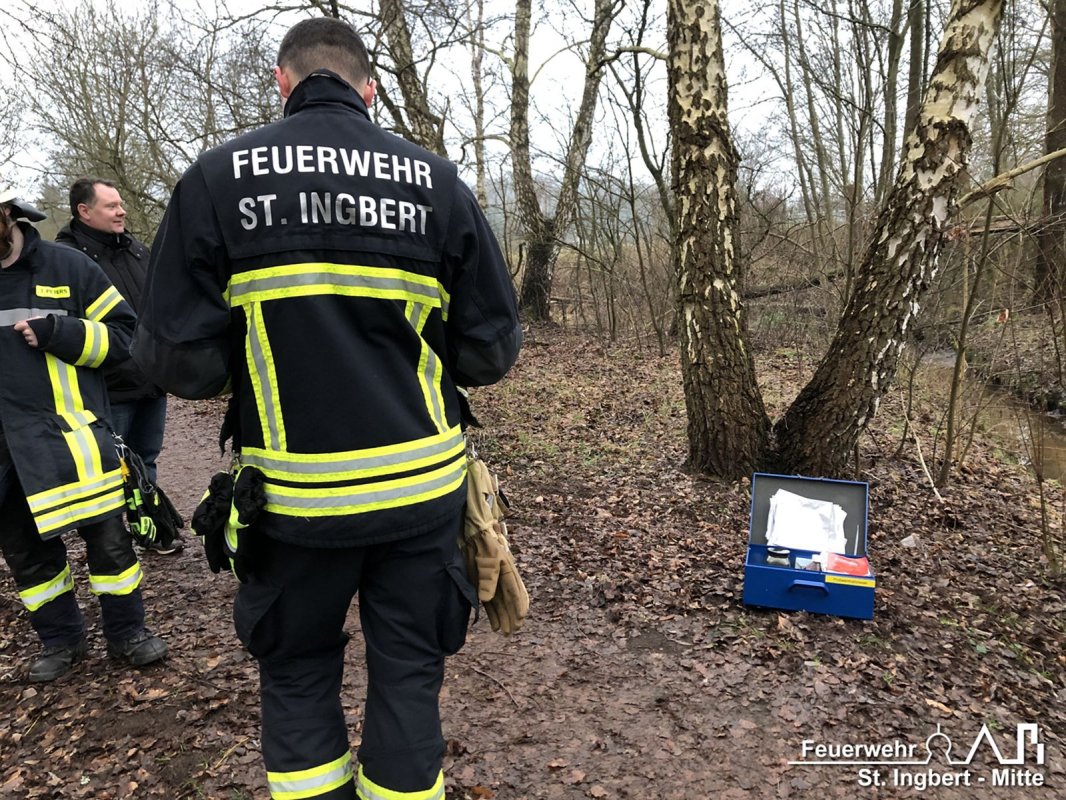 Schadstoff auf Gewässer, In den Königswiesen (Rohrbach)