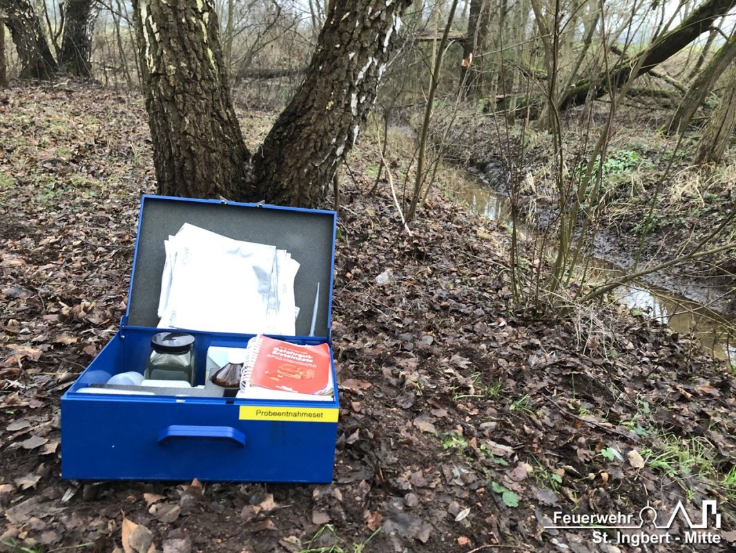 Schadstoff auf Gewässer, In den Königswiesen (Rohrbach)
