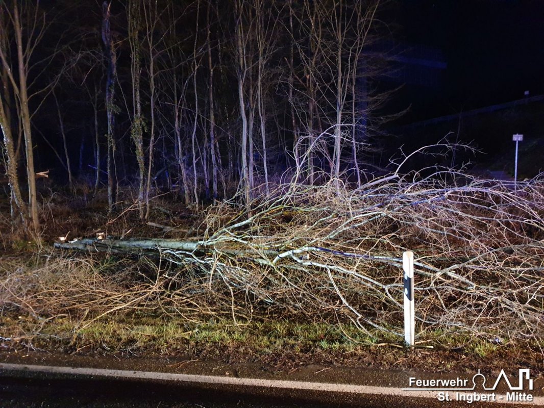 Baum droht, Neunkircher Straße (Spiesen)
