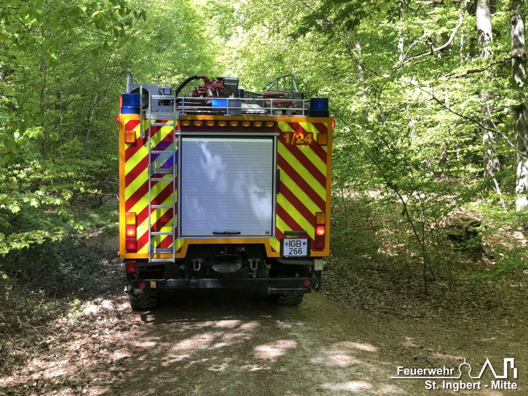 Brand Fläche, Waldgebiet "Sechs Eichen"