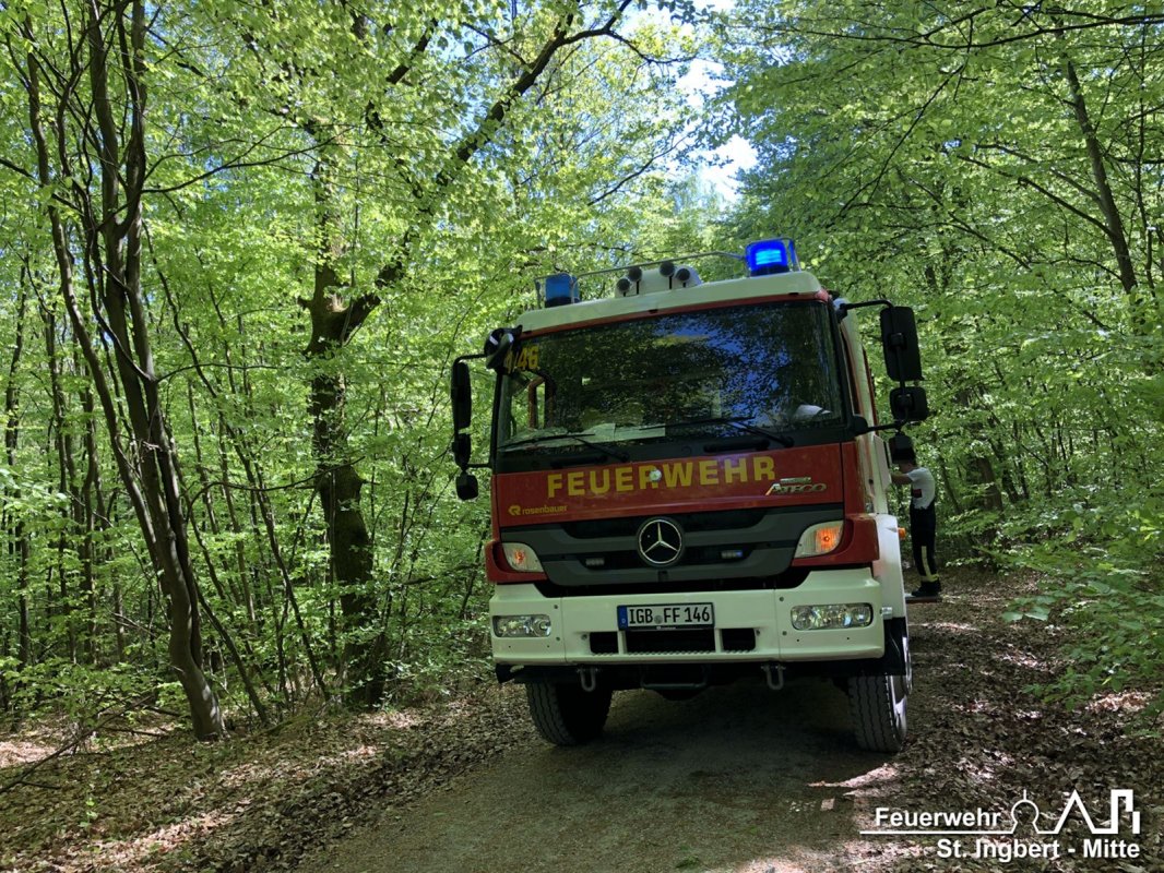 Brand Fläche, Waldgebiet "Sechs Eichen"