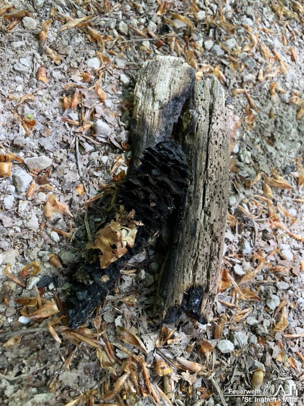 Brand Fläche, Waldgebiet "Sechs Eichen"