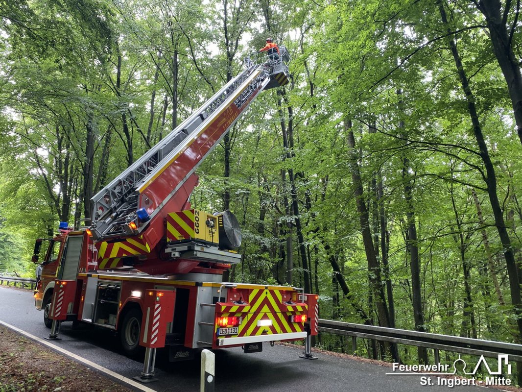 Baum droht, Ommersheimer Straße (Oberwürzbach)