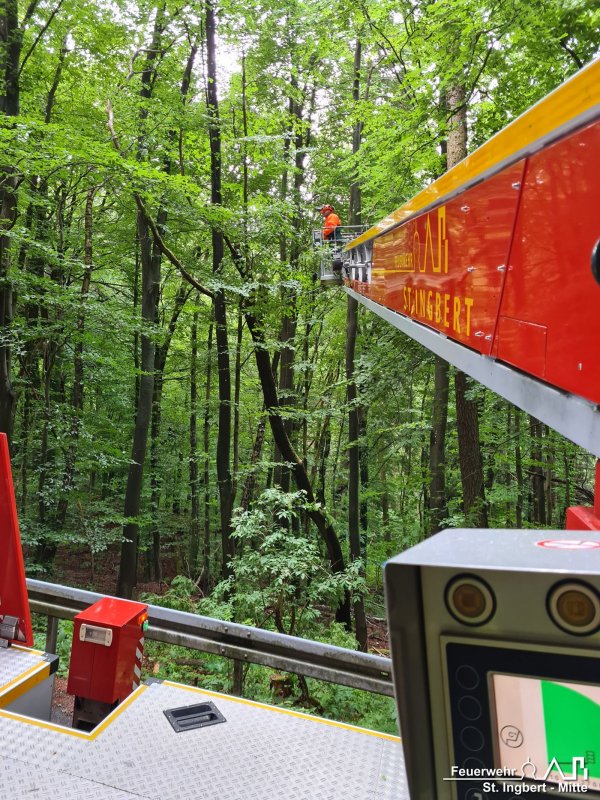 Baum droht, Ommersheimer Straße (Oberwürzbach)