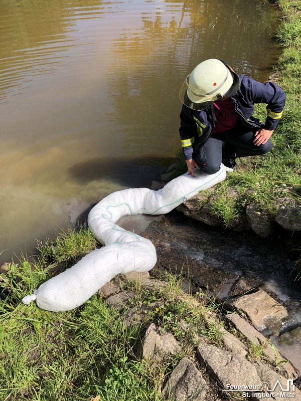 Schadstoff auf Gewässer, Schafweiher