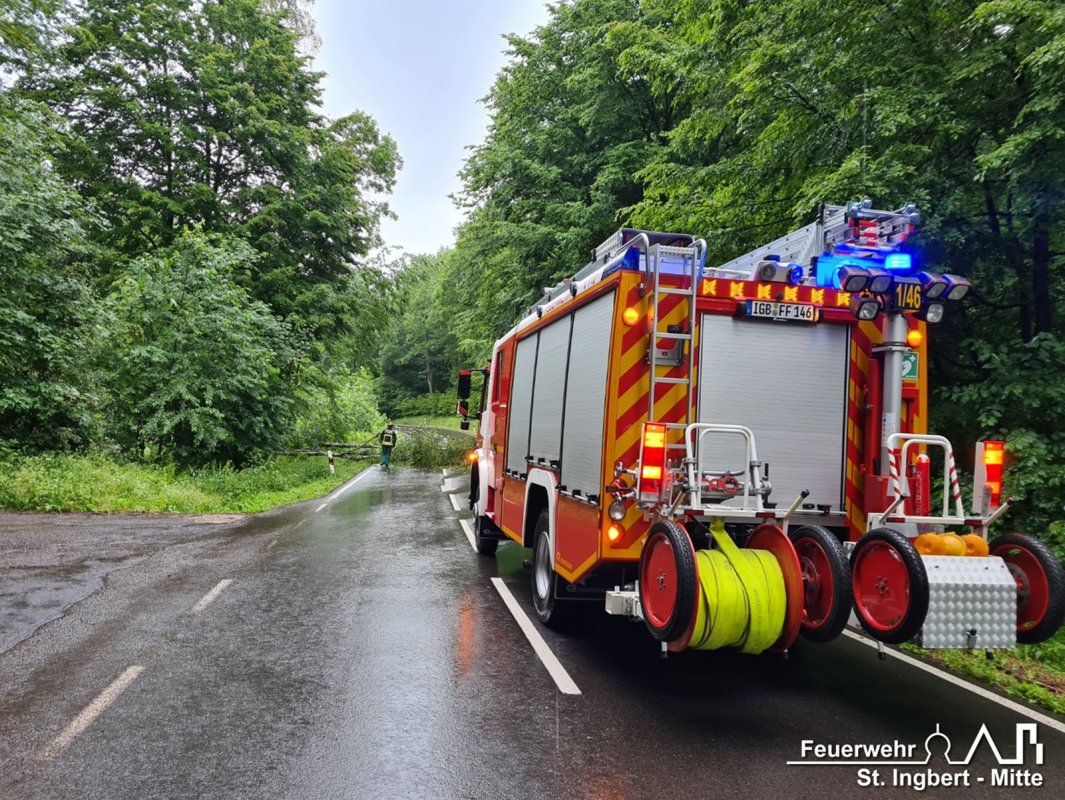 Baum auf Fahrbahn, L244