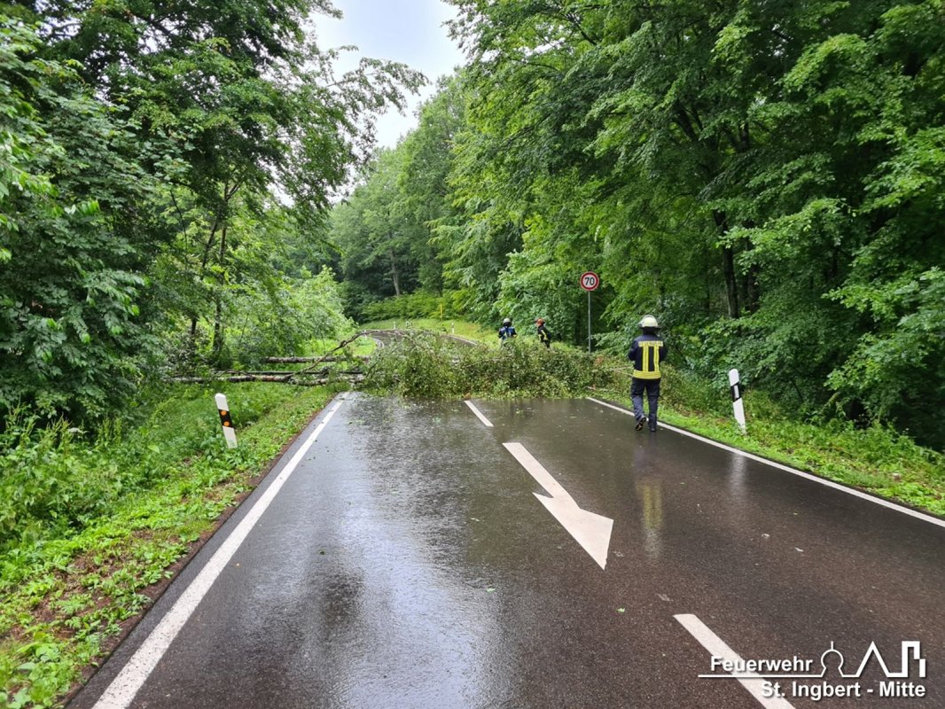 Baum auf Fahrbahn, L244