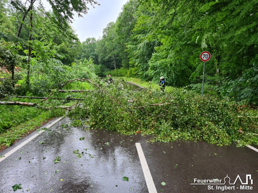 Baum auf Fahrbahn, L244