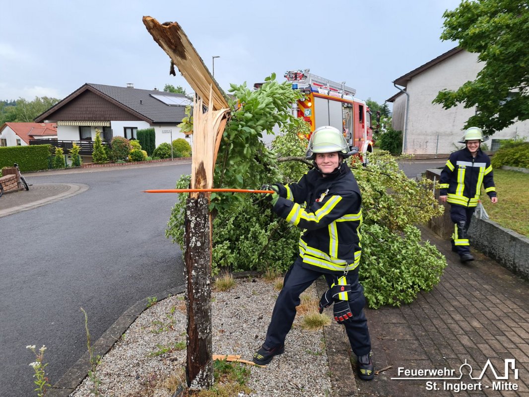 Baum auf Fahrbahn, Reinhold-Becker-Straße
