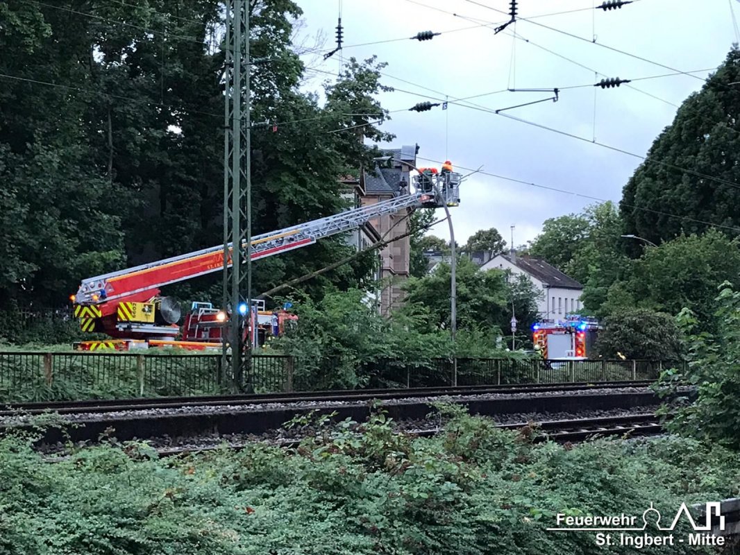 Baum droht, Rentamtstraße