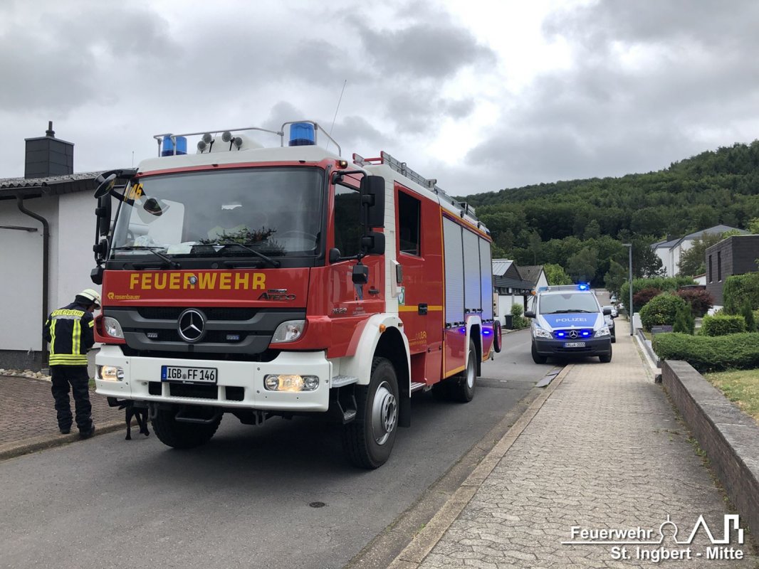 Baum umgestürzt, Rosenstraße