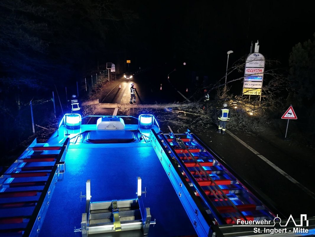 Baum auf Fahrbahn, Dudweiler Straße