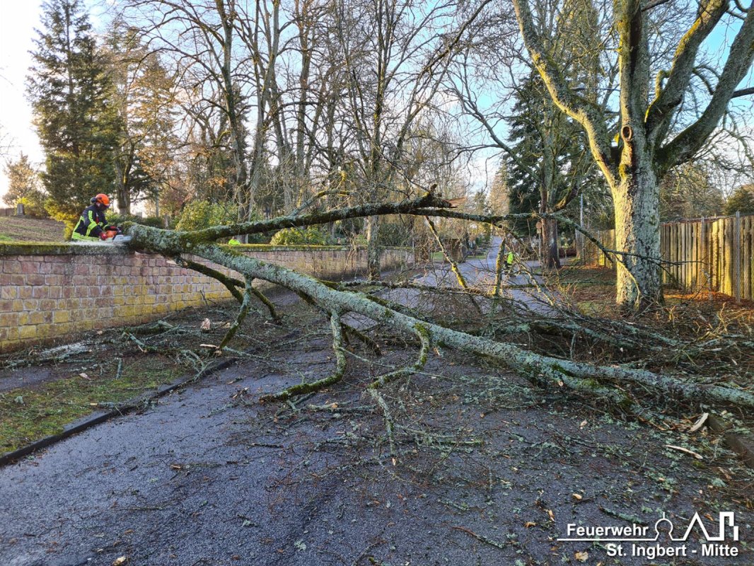 Baum auf Fahrbahn, Am alten Friedhof