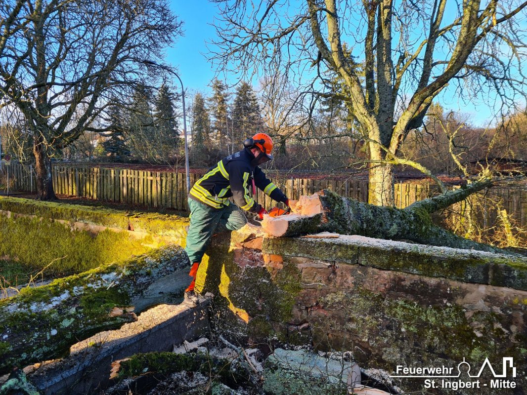 Baum auf Fahrbahn, Am alten Friedhof