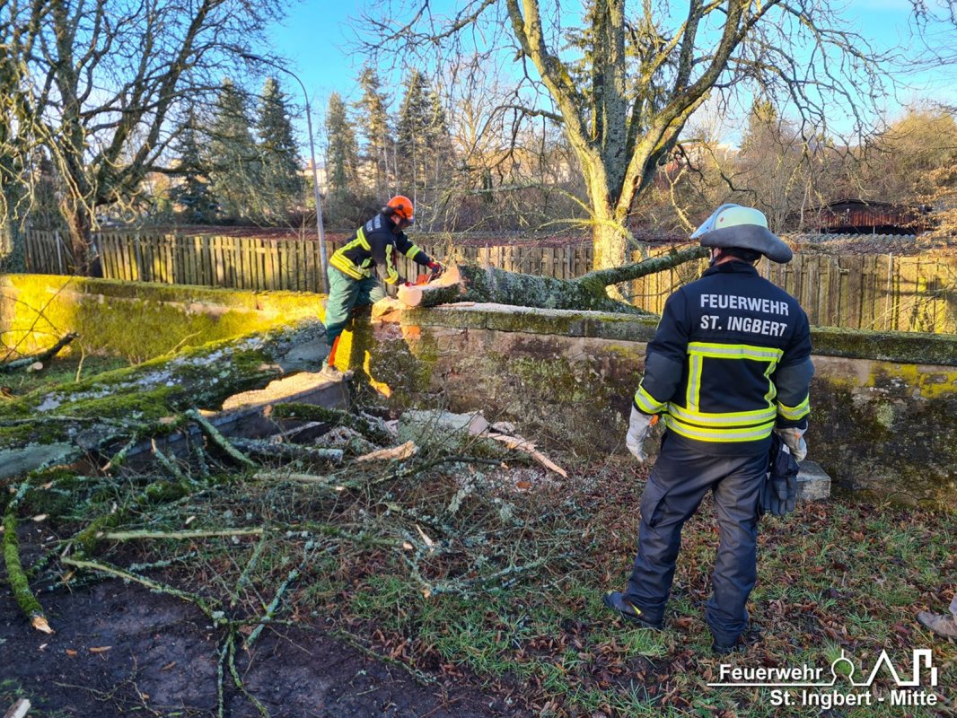 Baum auf Fahrbahn, Am alten Friedhof
