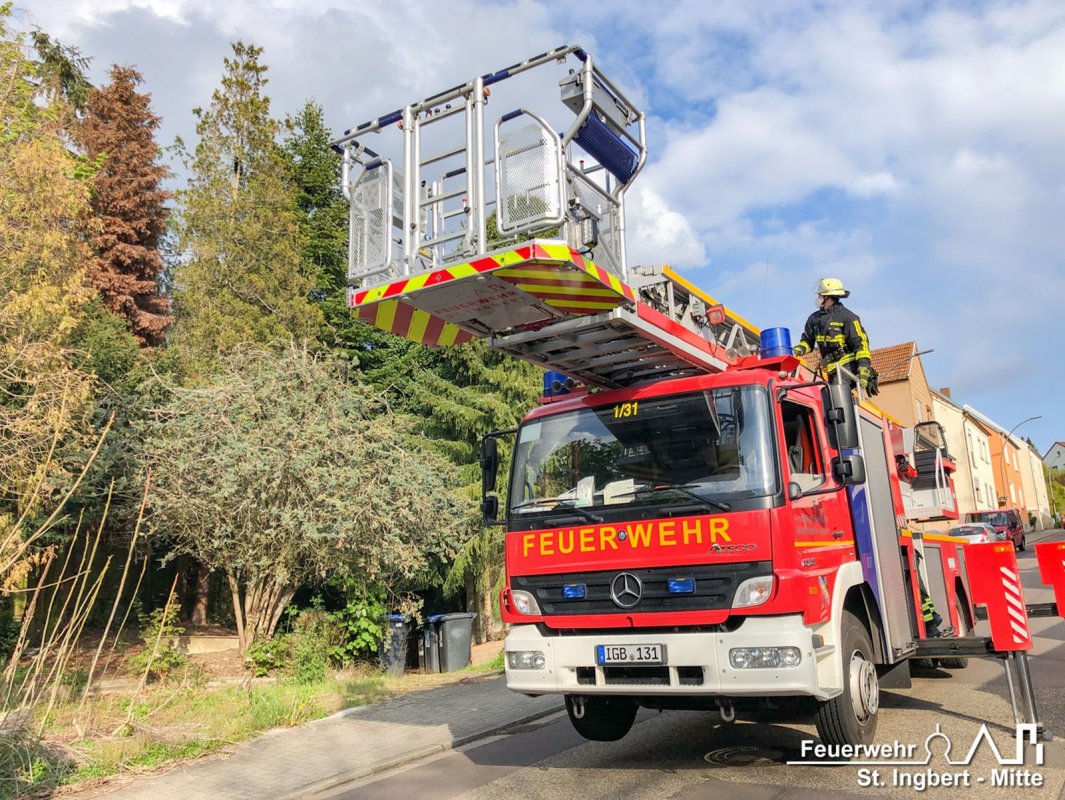 Tier in Notlage, Wiesenstraße