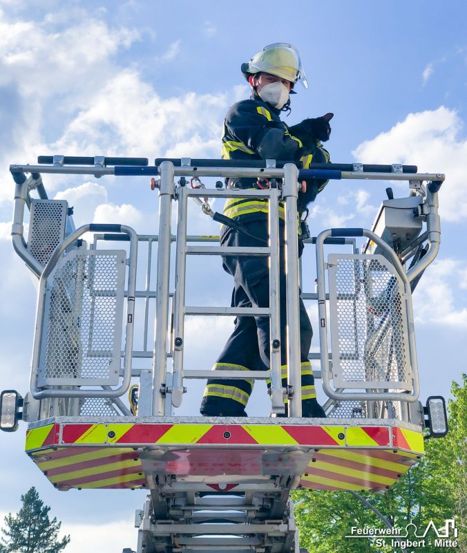 Tier in Notlage, Wiesenstraße