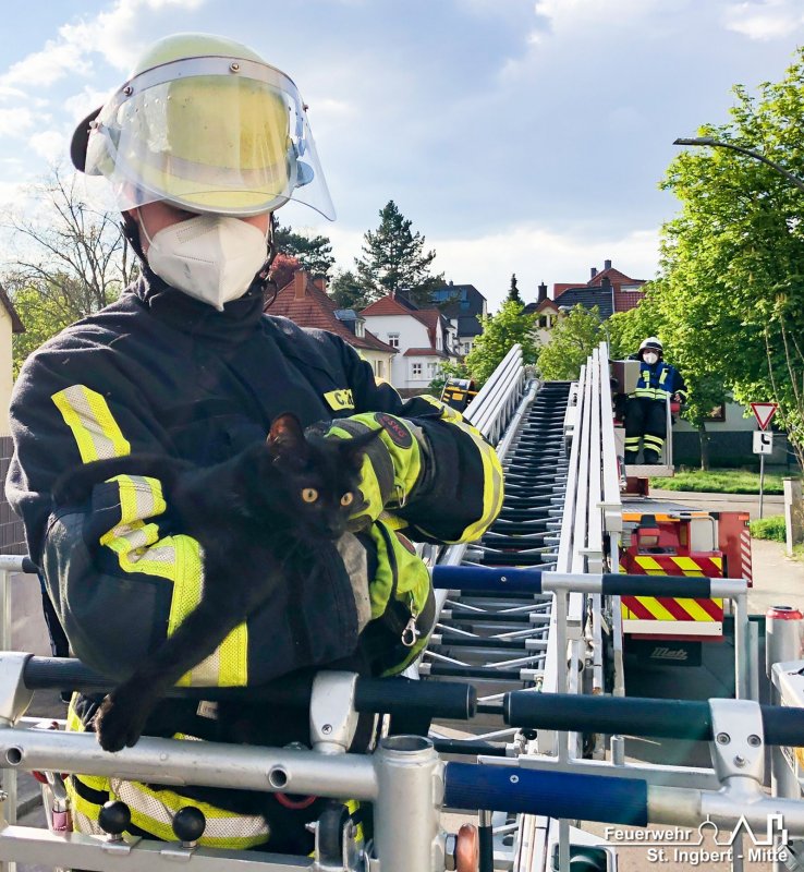 Tier in Notlage, Wiesenstraße