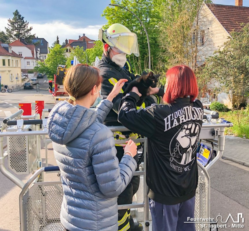 Tier in Notlage, Wiesenstraße