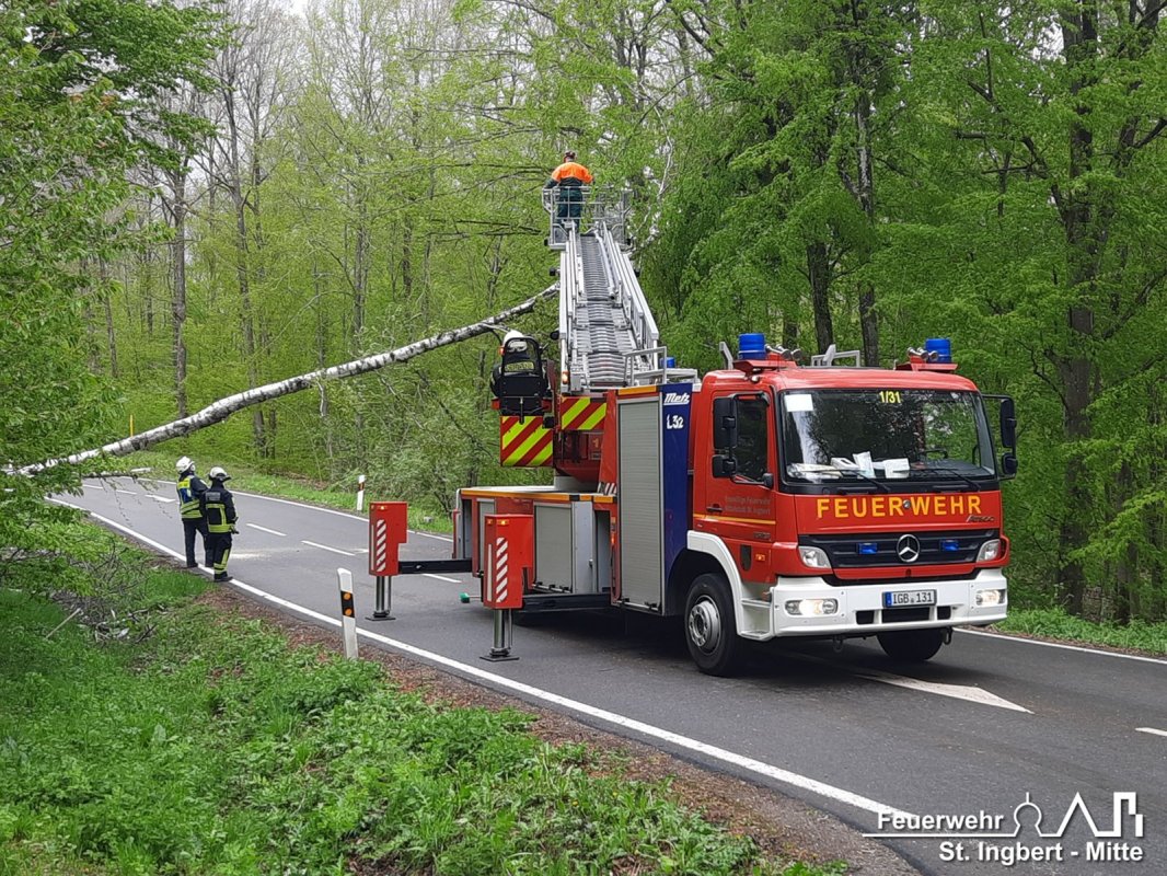 Baum auf Fahrbahn, L244