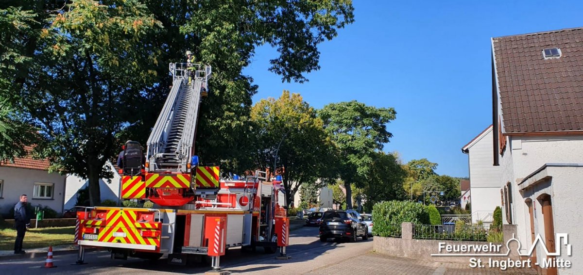 Einsatz Tier, Josefstaler Straße