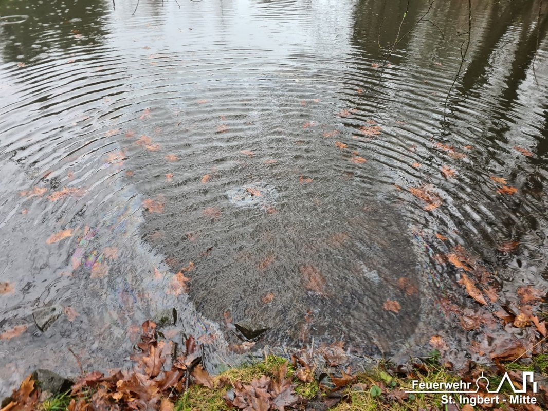 Schadstoff auf Gewässer, Geistkircher Hof (Rohrbach)