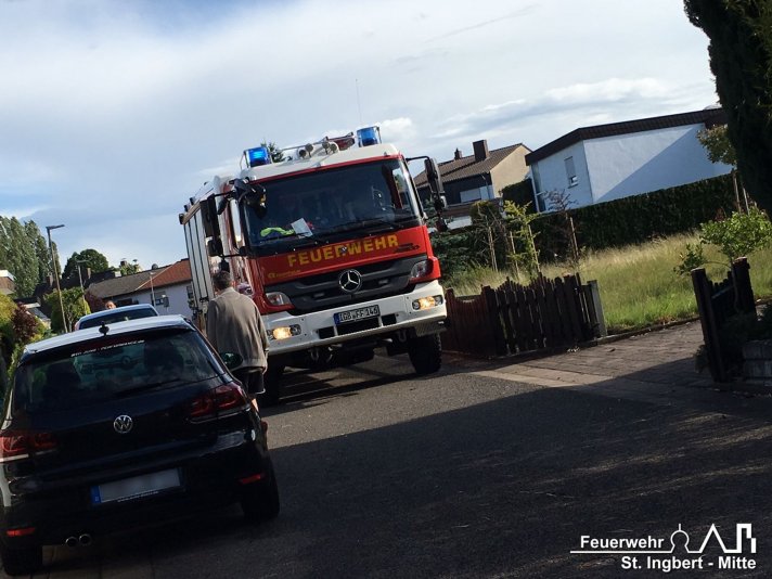 Baum auf Gebäude, Altenwalder Straße