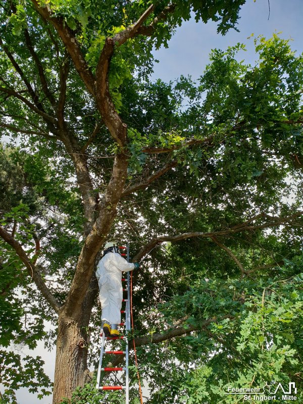 Beseitigen Gesundheitsgefahr, Pfarrer-Klein-Straße