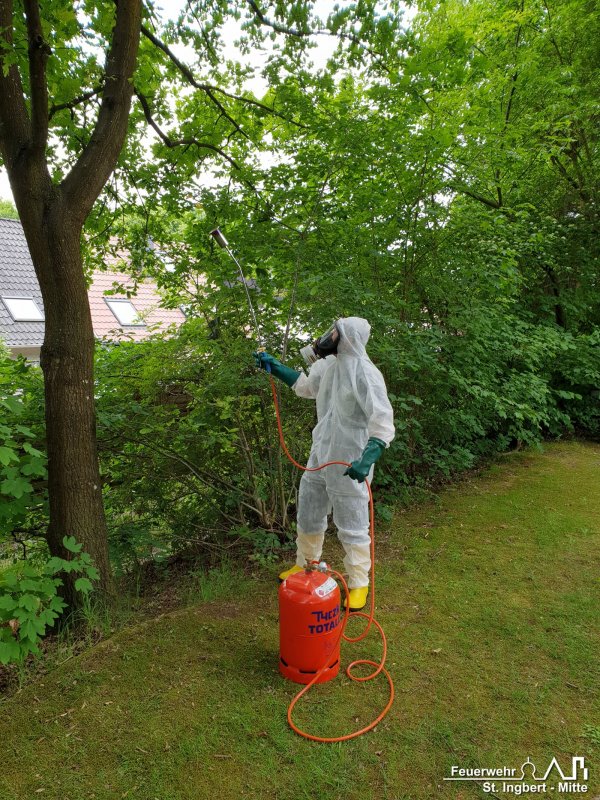 Beseitigen Gesundheitsgefahr, Peter-Eich-Straße