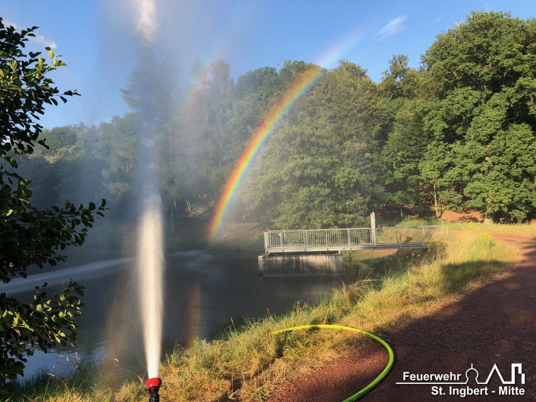 Umwälzen, Schafweiher