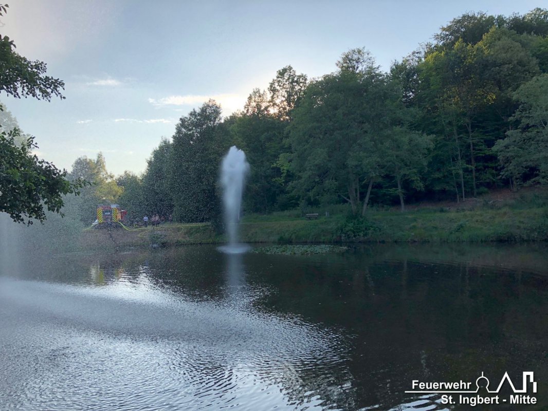 Umwälzen, Schafweiher