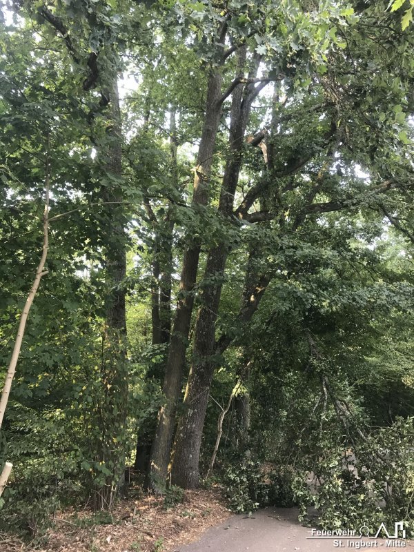 Baum auf Fahrbahn, Lautzentalstraße