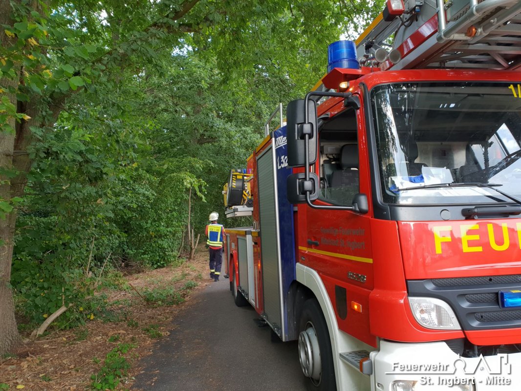 Baum auf Fahrbahn, Lautzentalstraße