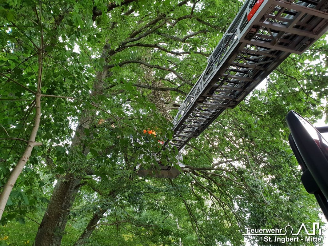 Baum auf Fahrbahn, Lautzentalstraße