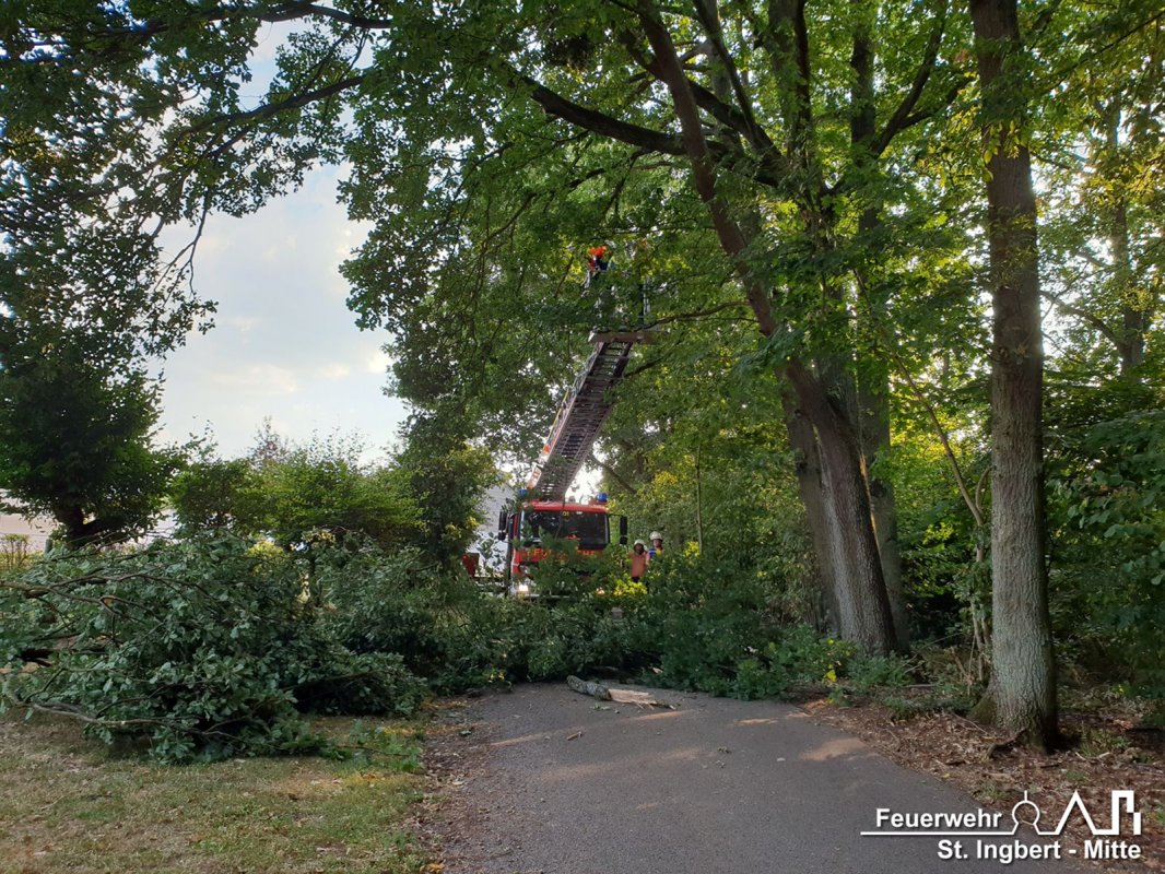 Baum auf Fahrbahn, Lautzentalstraße