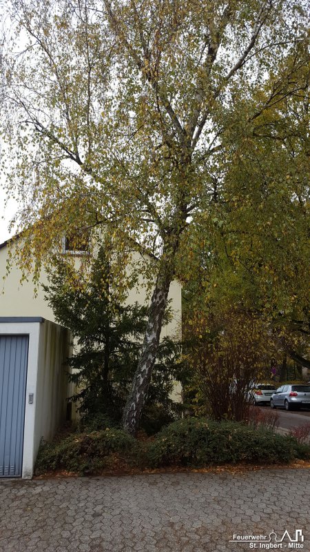 Baum droht, Fliederstraße