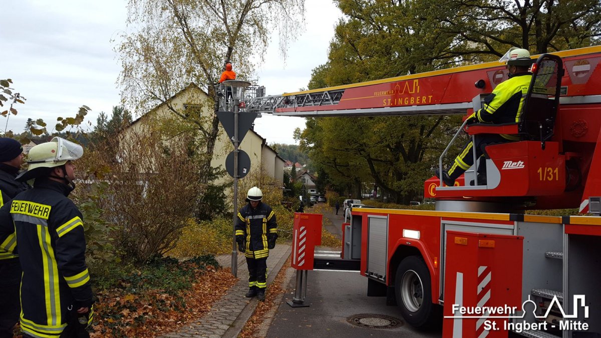 Baum droht, Fliederstraße