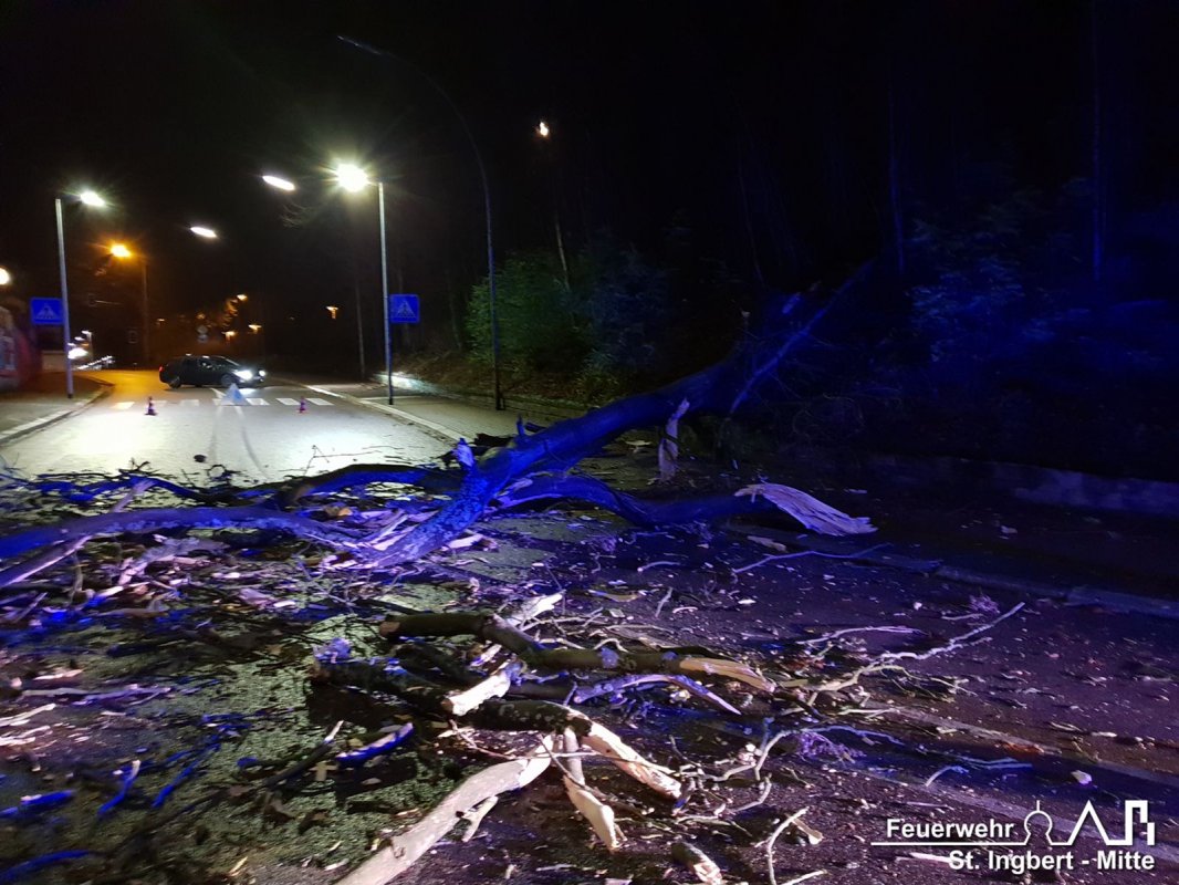 Baum auf Fahrbahn, Neue Bahnhofstraße