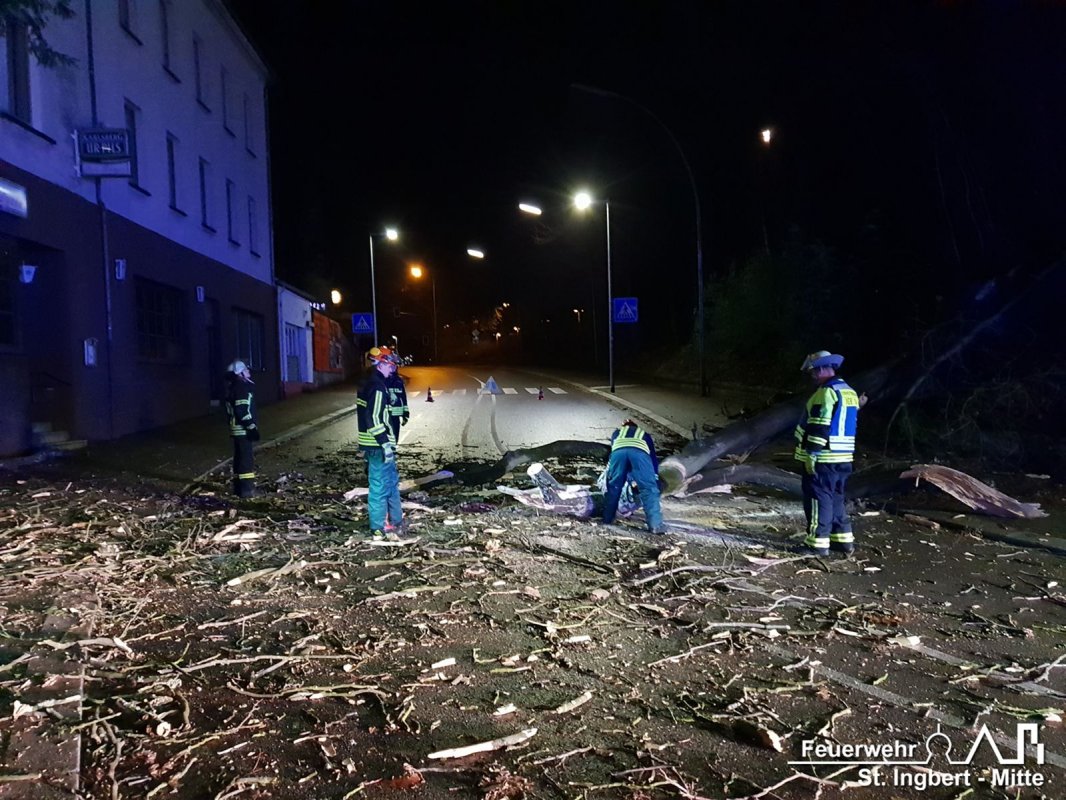 Baum auf Fahrbahn, Neue Bahnhofstraße