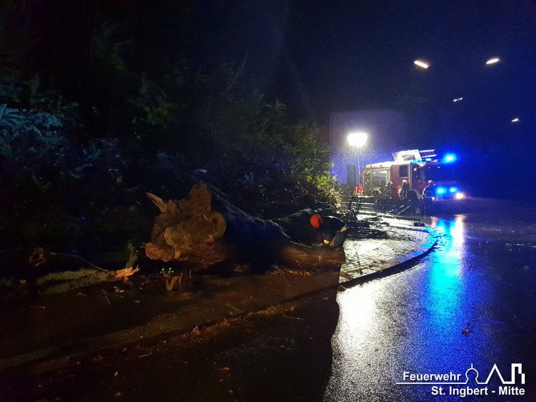 Baum auf Fahrbahn, Neue Bahnhofstraße