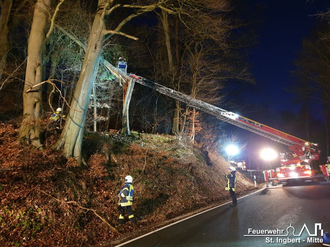 Baum droht, Ommersheimer Straße (Oberwürzbach)