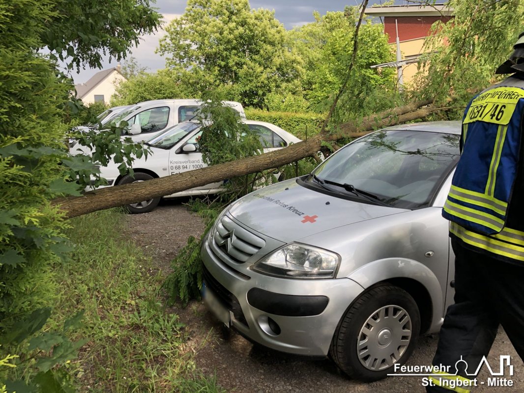 Baum umgestürzt, Klaus-Tussing-Straße