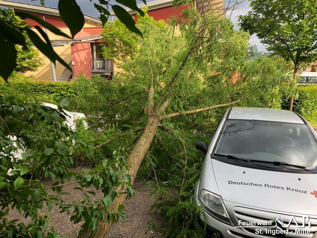 Baum umgestürzt, Klaus-Tussing-Straße