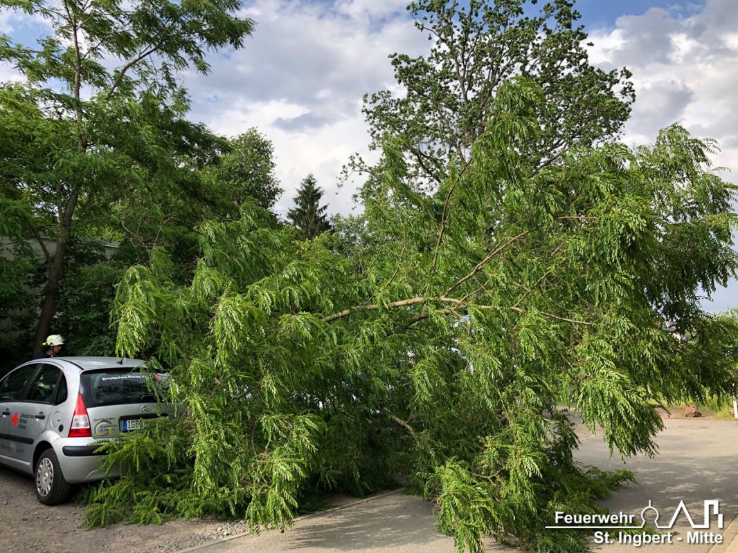 Baum umgestürzt, Klaus-Tussing-Straße