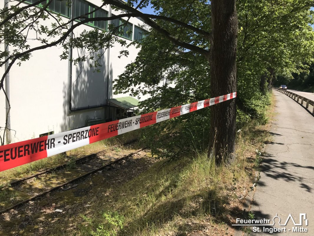 Erkundung Eichenprozessionsspinner, Stadtgebiet St. Ingbert