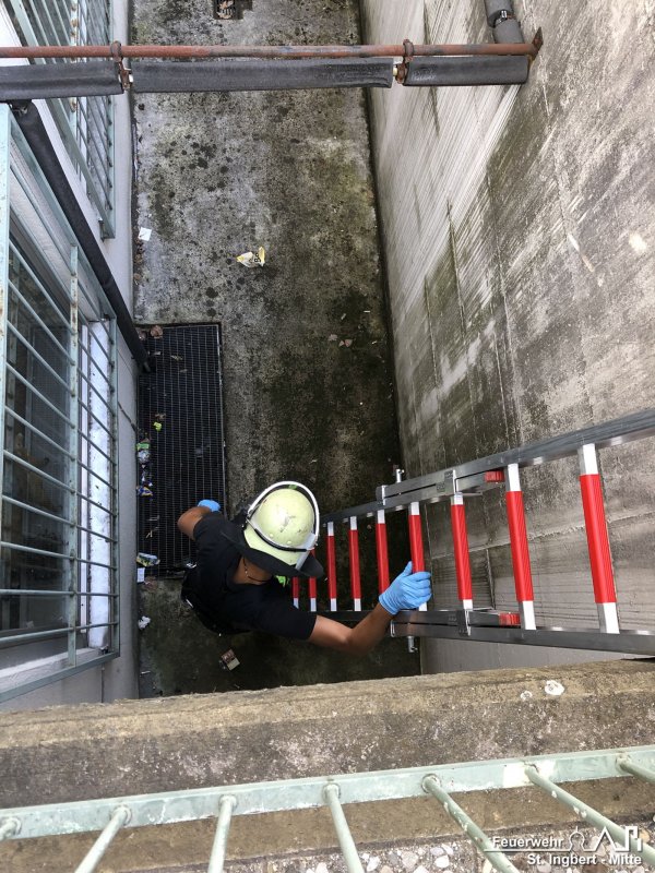 Tier in Notlage, Kaiserstraße