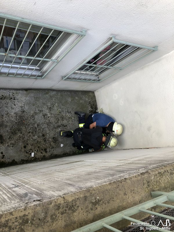 Tier in Notlage, Kaiserstraße