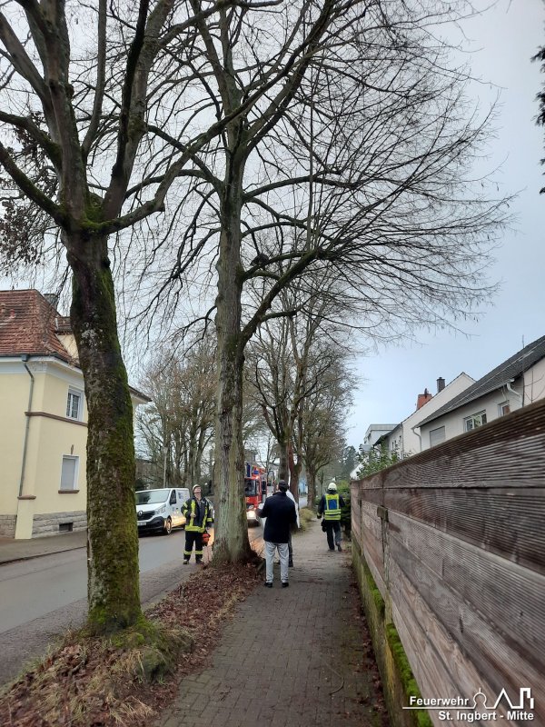 Einsatz Tier, Hildegardstraße