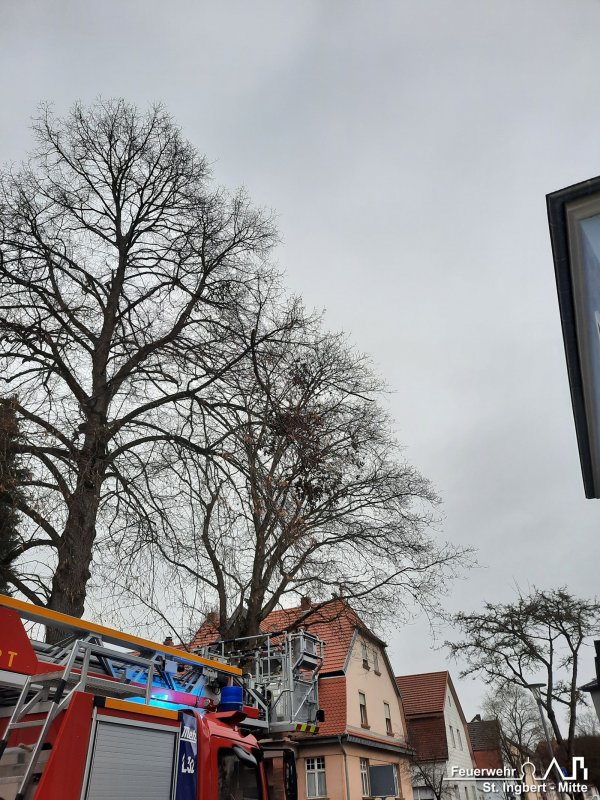 Ast droht, Hildegardstraße